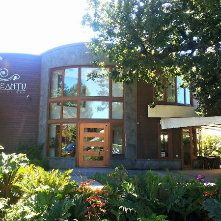 Cocurantu Hotel Boutique Pucón المظهر الخارجي الصورة